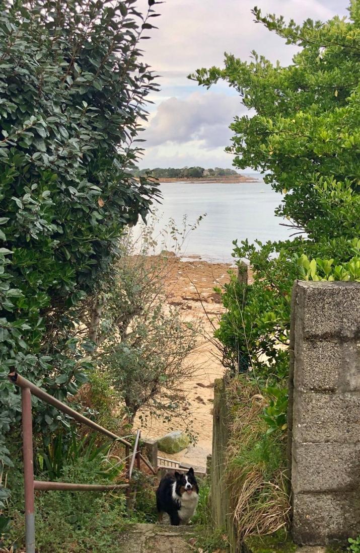 Vue à 100m De La Au Centre De Apartamento